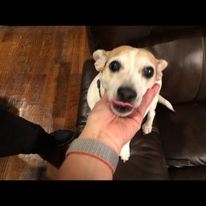 Meet your Posher, Debbie